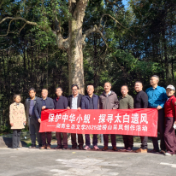 生态文学丨魏冬林：金楠