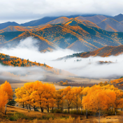 散文丨蒋集政：柳庄思左公