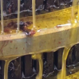 江永：科技赋能产业兴 瑶乡茶油香四方