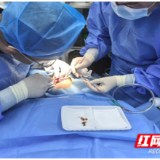 医疗服务提升年丨全口牙病一次解决！永州市中心医院舒适化诊疗获患者点赞