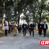 江永：四级人大代表开展政务服务效能提升与养老服务工作集中视察