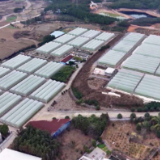 江永：烤烟育苗“工厂化” 育出增收“金苗子”