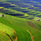 水利部：全国水土保持生态产品转化交易额已超40亿元