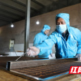 湖南新田：传统熬制红糖熬出纯粹香甜