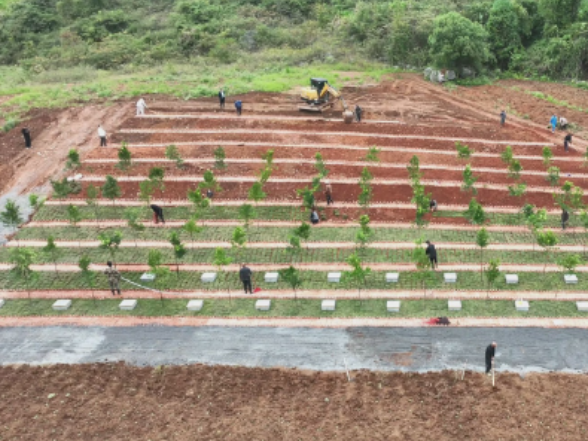 宁远县聚力“三变三提升”打造湘南殡葬改革典范获湖南省人民政府办公厅表扬