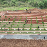 宁远县聚力“三变三提升”打造湘南殡葬改革典范获湖南省人民政府办公厅表扬