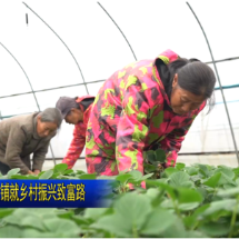 北湖区塔水村：草莓产业铺就乡村振兴致富路