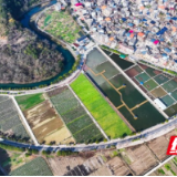 湖南新田：和美乡村 生态宜居（组图）