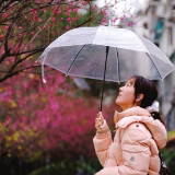 梅花提前绽放，“爆改”长沙冬天