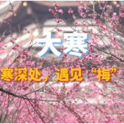 二十四节气·大寒丨岁寒深处，遇见“梅”好