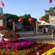 蒋涤非：坚持高水平规划引领 打造城市更新标杆