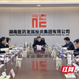 湖南医药发展投资集团召开2025年度纪检干部述职会议