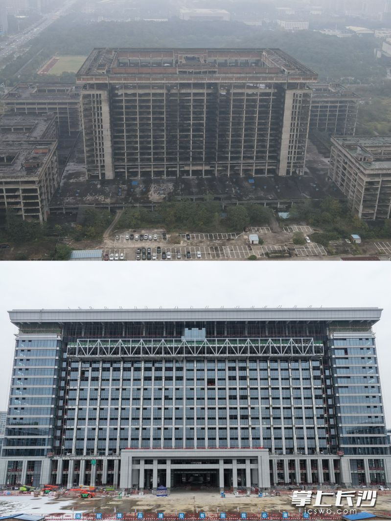 项目重启前后对比。均为项目方供图