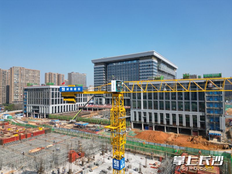 项目建设如火如荼，预计将吸引多家央国企入驻。