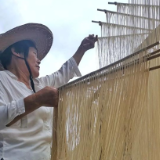 邵东界岭镇：乡贤归巢聚合力 实干担当促振兴