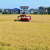 高沙镇:把振兴答卷写在163平方公里土地上