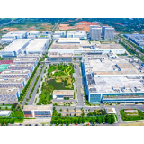 好评中国丨坚持长期主义,让民营经济站C位