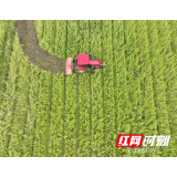 不负春光启新程 乡村人才“耕种忙”