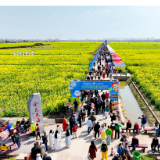 好评中国丨春日赏花热,“花样经济”上春山