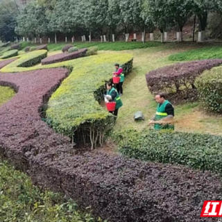 汝城县：春回大地万物苏 园林养护正当时