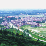 从“微心愿”到“六尺巷”：洞口岩山镇的乡村振兴答卷