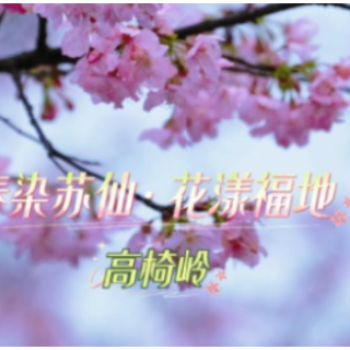 春染苏仙·花漾福地丨高椅岭