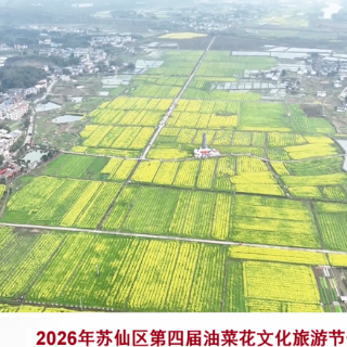 2026年苏仙区第四届油菜花文化旅游节开幕