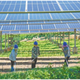 好评中国丨植好“有形之绿”，更需培育“无形之绿”