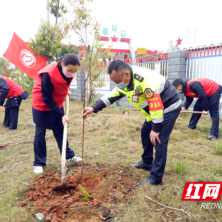 又是一年植树日  一起听郴州“高速人”与树的故事