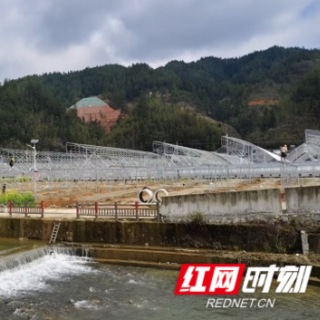 桂东县：锚定民生 国债赋能 推动高山蔬菜产业高质量发展