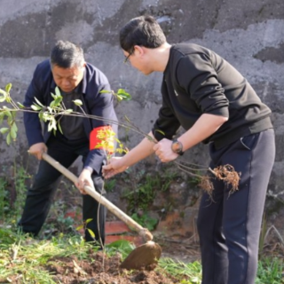 植绿同心桥 绘美新北湖 北湖街道开展3·12义务植树活动
