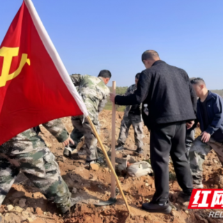 永兴县悦来镇：植此青绿 共筑绿色生态屏障