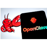 好评中国丨别让“龙虾”替代“脚下功夫”