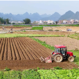 好评中国丨端牢“中国饭碗”，让高质量发展“更坚韧”