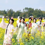 好评中国丨让春日经济不止吹过一个春天