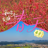 武冈⇌安仁：在卤香与药香之间，细品湖南春天的文武之道丨和你交换一个春天⑦