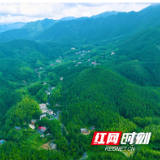 桂东县：赋能民宿产业 推动文旅高质量发展