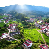 桂东县：“嵌入式”监督促就业稳发展