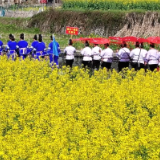 好评中国丨春分:不负春光,奔赴梦想