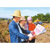 好评中国丨“会场下沉”背后是基层治理“现代化转型”