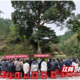 沤江河畔读好书：书香润青山 药香促振兴