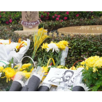 风雨中的稻香与守望 全国水稻守护志愿者齐聚长沙缅怀袁隆平院士