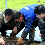 春天里的邵阳丨新邵：抢抓农时忙春耕 农技下乡保丰收