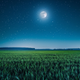 芙蓉·小说丨姜铁军：月夜独行