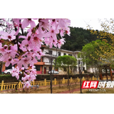 雨是如何塑造醴陵的文学想象的？