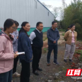 科技赋能怀化茶园：专家精准指导助力绿色智能升级