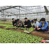 我们为何愿为“体验”付费？