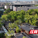 全国首个“博物馆+公园”融合实践：从物理联通到系统共生