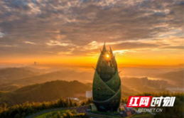 观察丨要发展更要绿色的发展 湖南守护自然的“双赢密码”