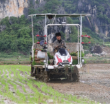 道县：抢抓农时忙春耕 科技赋能提效护生态